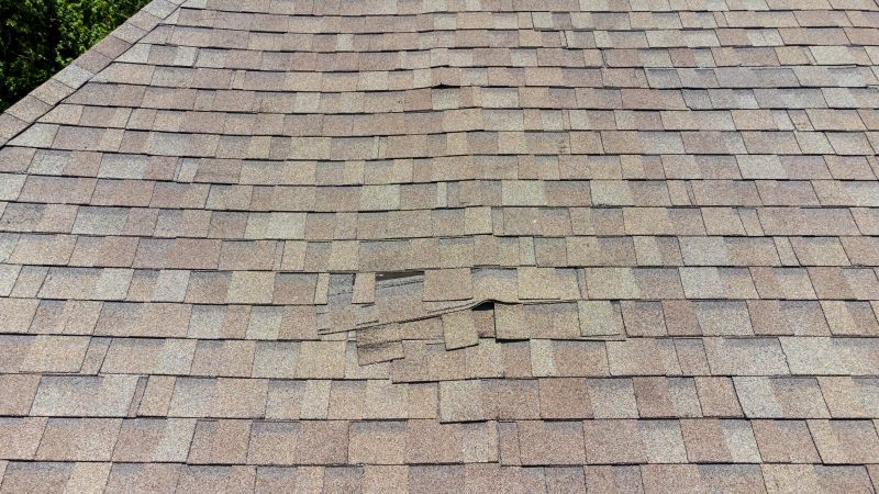 Asphalt Roof Inspection in Boyds, MD
