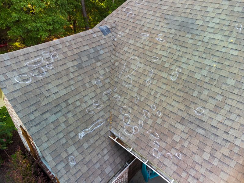 Asphalt Roof Inspection in Montgomery Village, MD