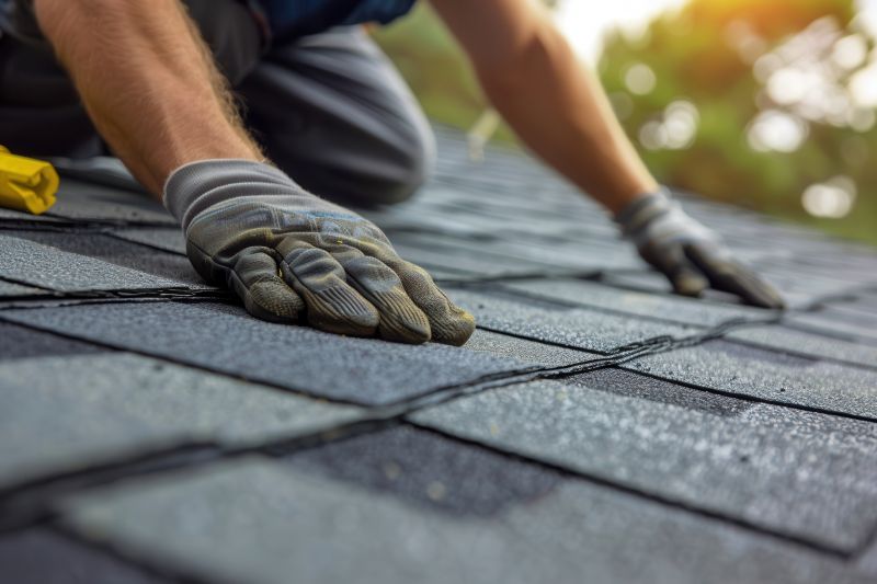 Asphalt Roof Leak Repair in Berryville, VA