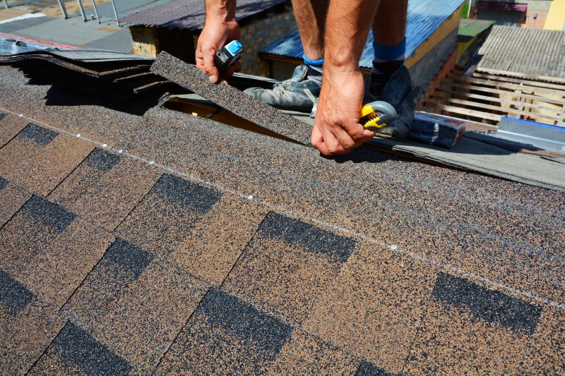 Asphalt Roof Repair in Bluemont, VA