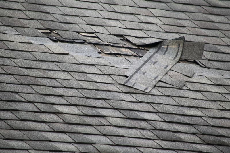 Asphalt Roof Repair in Shepherdstown, WV