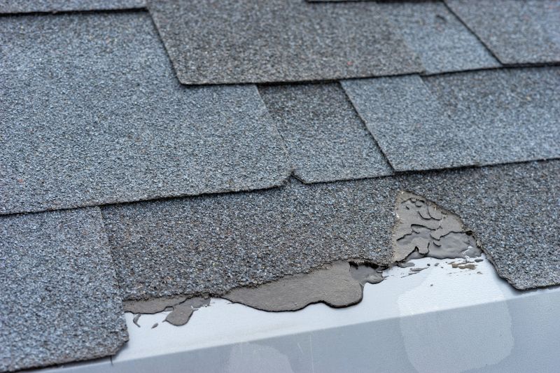 Damaged Roof Repair in Charles Town, WV