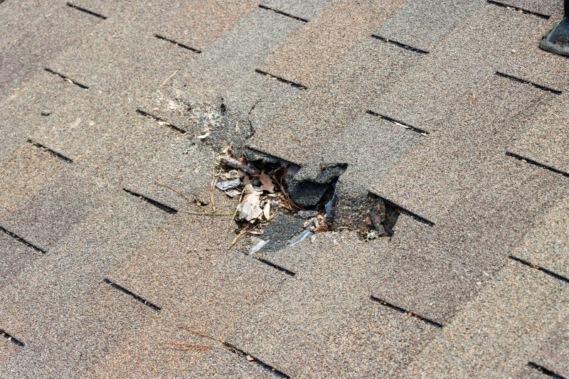 Damaged Roof Replacement in Ranson, WV