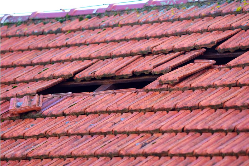 Roof Damage Inspection in Stephenson, VA