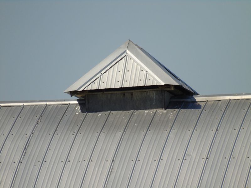 Tin Roof Installation in Berryville, VA