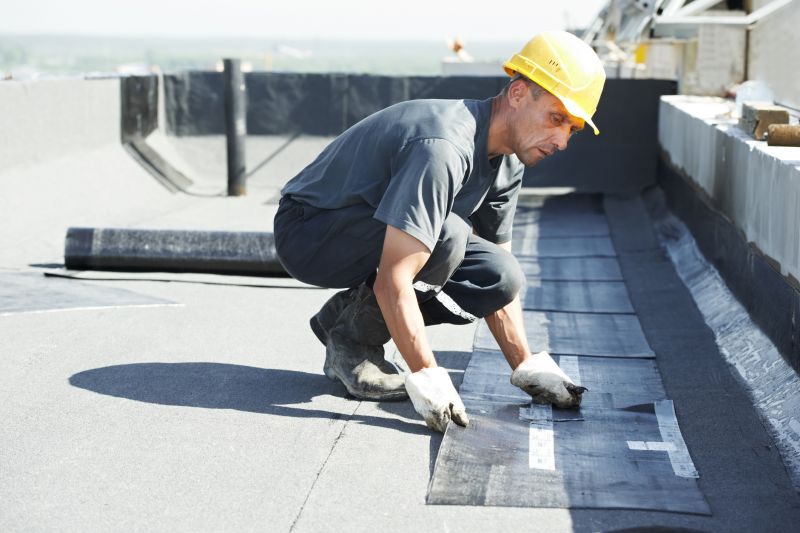 Tpo Roof Repair in Martinsburg, WV