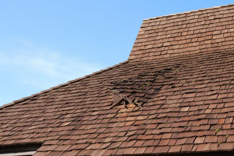 Wood Shake Roof Replacement in Bluemont, VA